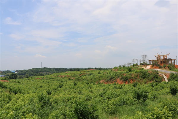 龙脑基地