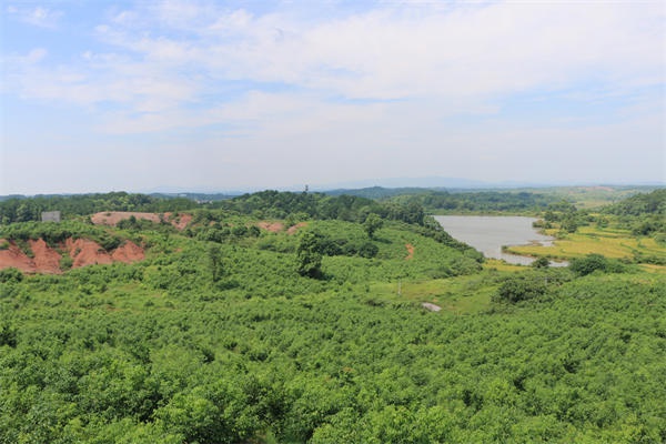 龙脑基地