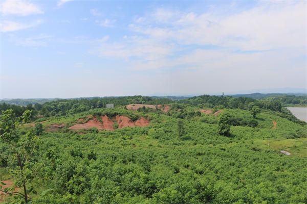 龙脑基地